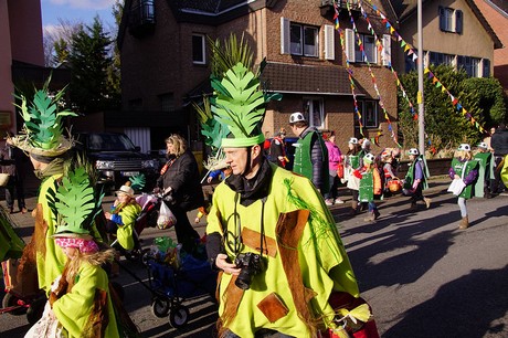 Karnevalszug Junkersdorf